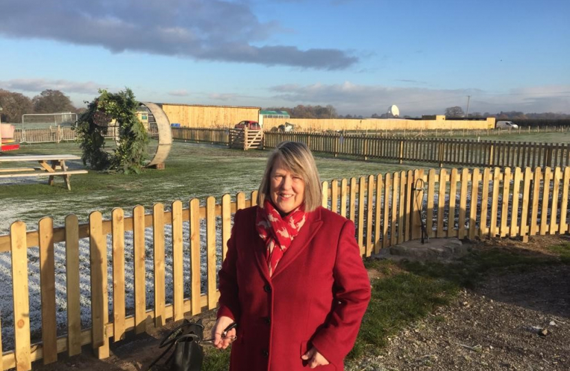 Fiona Bruce MP in fenced off green farmland area with blue sky