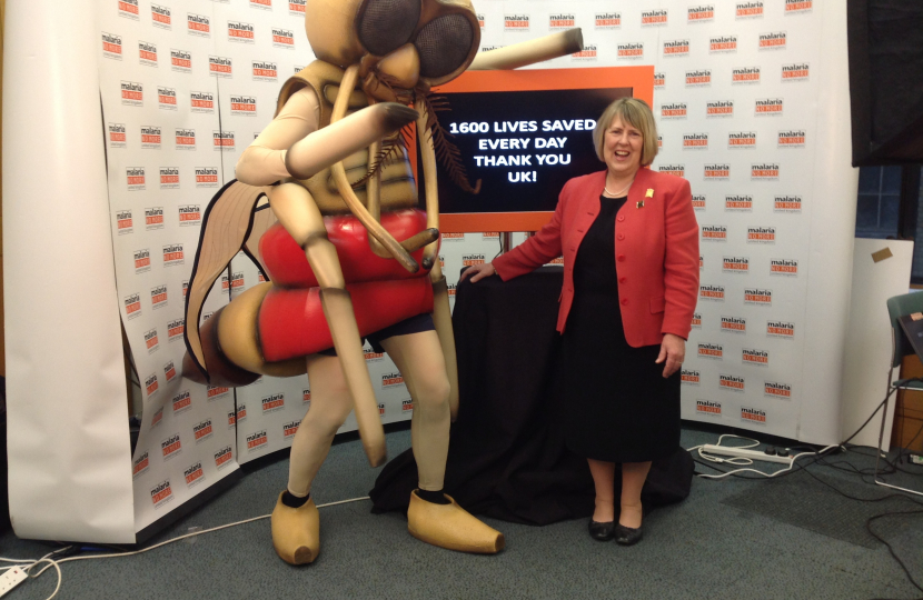 Fiona Bruce MP next to a large cartoon malaria bug