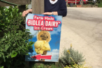 Fiona Bruce MP in the sunshine at a Bidlea Dairy advertising sign