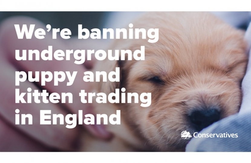 Banning puppy and kitten trading