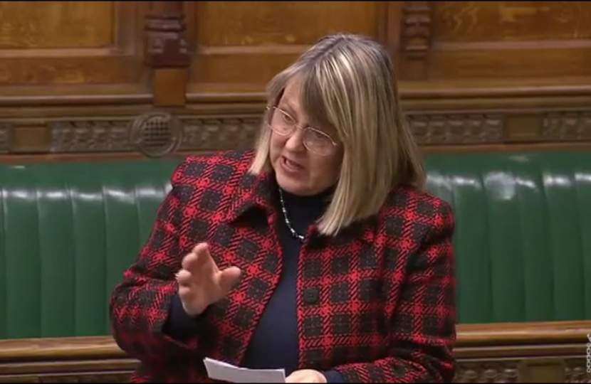 Fiona Bruce in Parliament