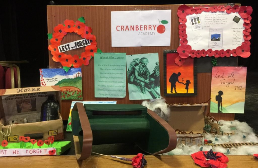 Poppies by Cranberry Academy
