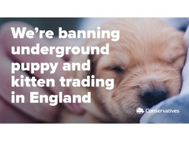 Banning puppy and kitten trading