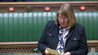 Fiona Bruce in Parliament